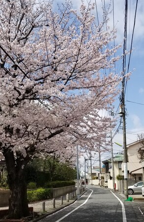 カルチェラタン桜丘の物件外観写真